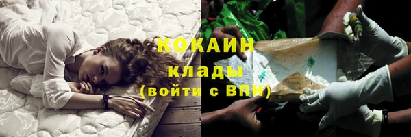 хмурый Инта