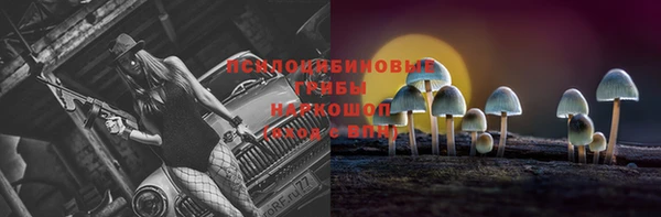 хмурый Инта