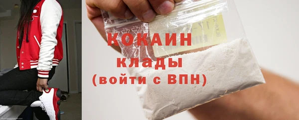 хмурый Инта