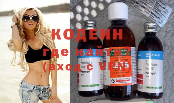 хмурый Инта