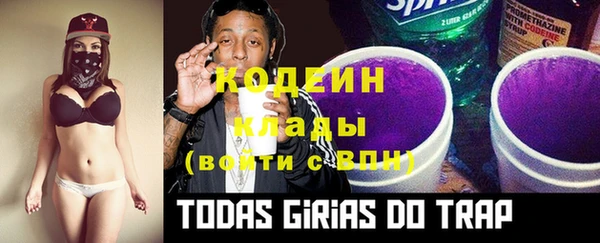 хмурый Инта