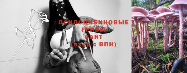 МДПВ Иннополис
